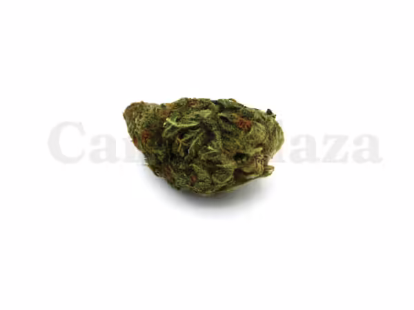 Blue skunk bestellen