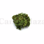Super Silver Haze Image