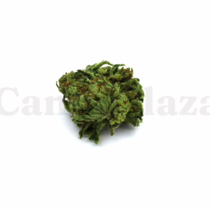 Super silver haze kopen