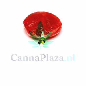 THC framboos lolly kopen