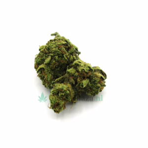 Moby Dick kopen