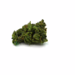 Tangie Image
