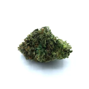 Blue Cookies kopen