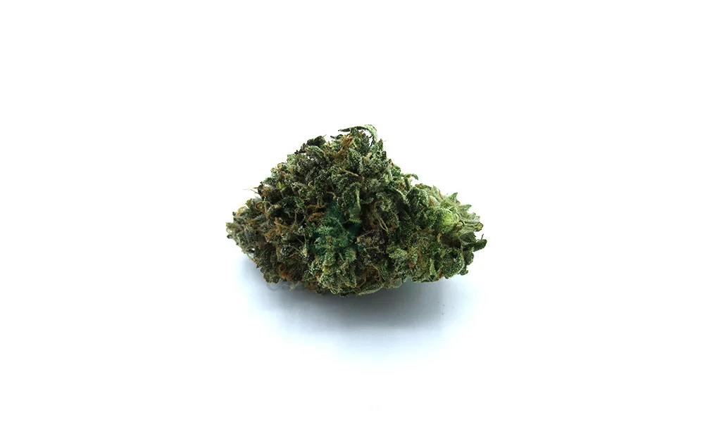 Blue Cookies kopen