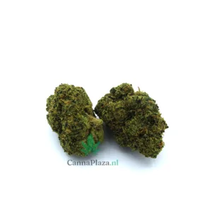 Dank Bubba kopen