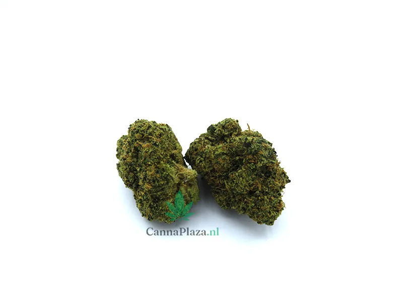 Dank Bubba kopen