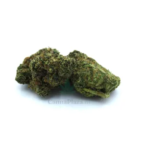 Pineapple Haze kopen