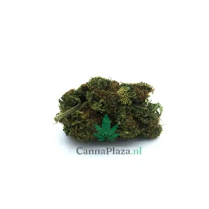 White fire kopen