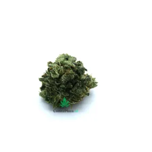 OG kush kopen